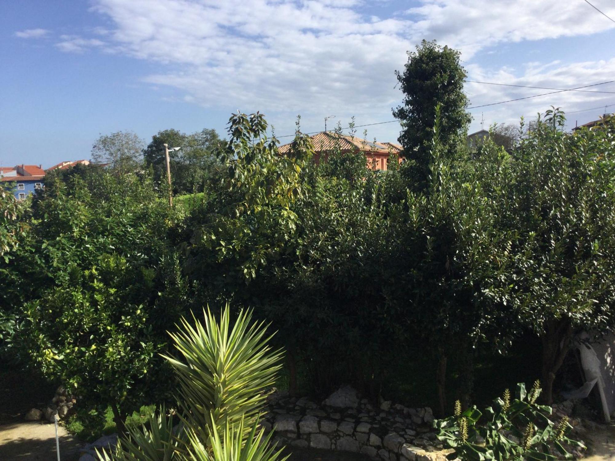 Willa Casa Jardin Rocablanca Llanes Celorio  Zewnętrze zdjęcie
